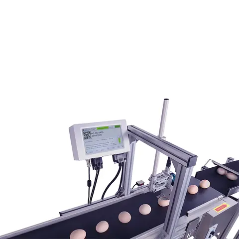 MF-T2 Egg Coding and Marking Solution – product photo 3