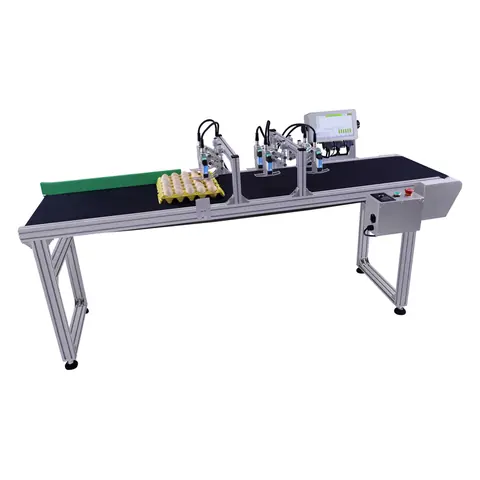 MF-T6 Egg Coding and Marking Solution – product photo 2